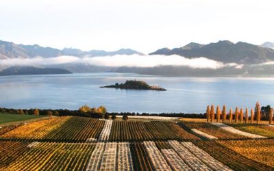 JOIN US FOR AN EXCLUSIVE NEW ZEALAND WINE DINNER